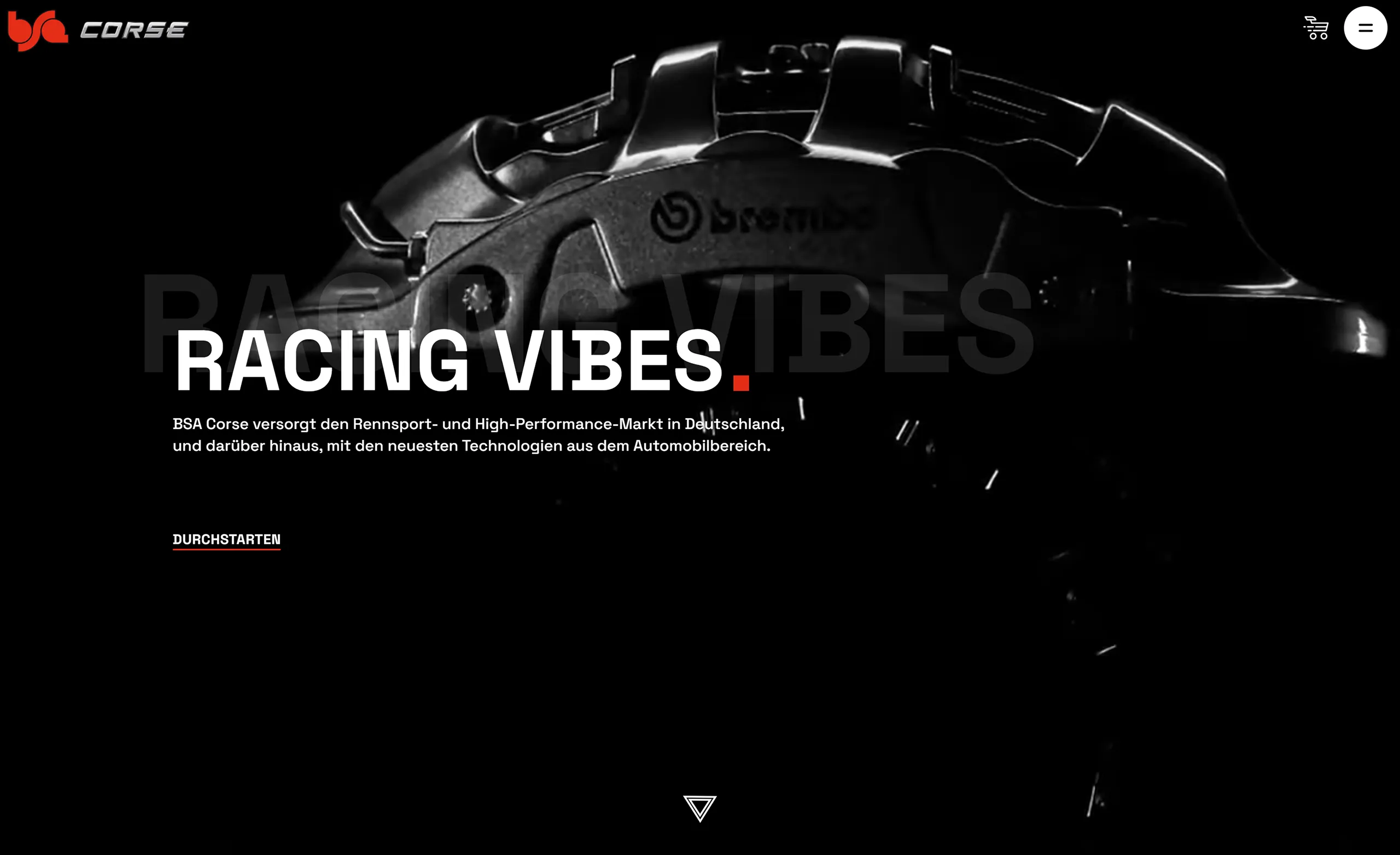 Startseite der BSA Corse Website