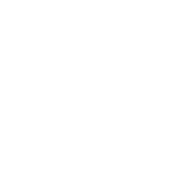 Aktiva Logo